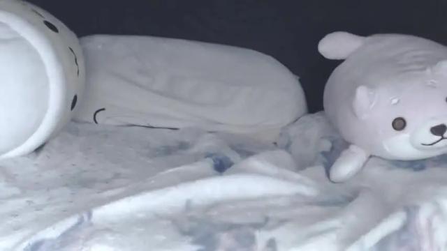 Image 3 of anonymouskitti Stream on Chaturbate on 14 months ago