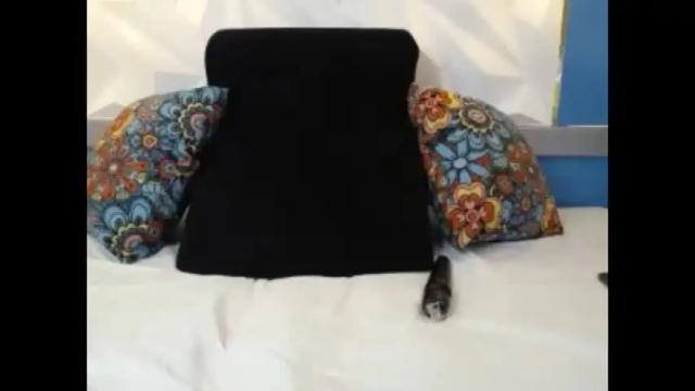 Thumbnail 1, antonella11_'s Stream at Chaturbate, 23 months ago