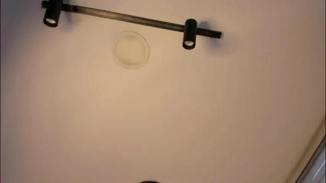 Thumbnail 3, antonella__rouse's Stream at Chaturbate, 1 month ago