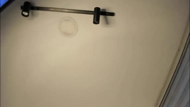 Image 12 of antonella__rouse Stream on Chaturbate on 10 days ago