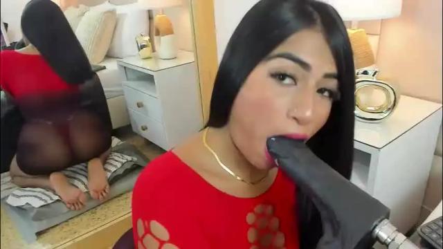 Image 4 of antoniaross Stream on Chaturbate on 2 months ago