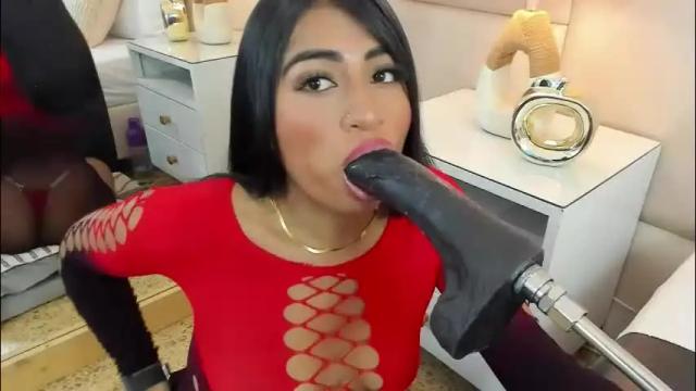 Image 8 of antoniaross Stream on Chaturbate on 2 months ago