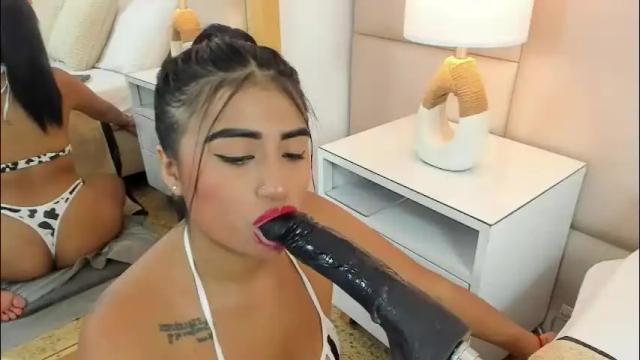 Image 12 of antoniaross Stream on Chaturbate on 4 days ago