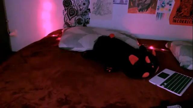 Image 12 of aoi_dandelion Stream on Chaturbate on 10 days ago