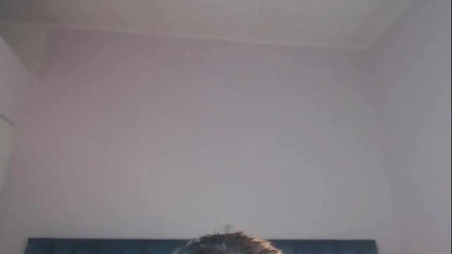 Thumbnail 1, april__bunny's Stream at Chaturbate, 2 months ago