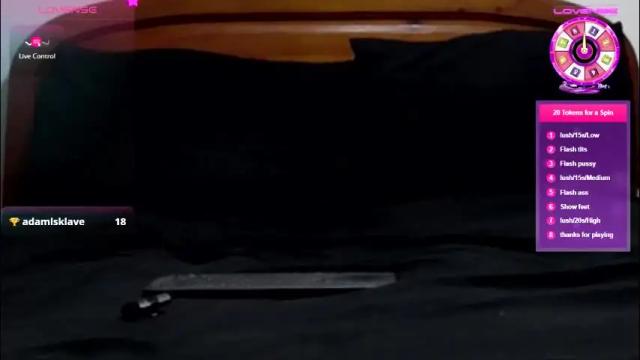 Image 3 of arab_catwoman Stream on Chaturbate on 1 month ago