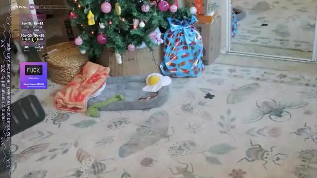 Image 11 of archancel Stream on Chaturbate on 17 days ago