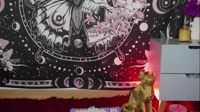 Image 2 of ari_kat666 Stream on Chaturbate on 6 days ago
