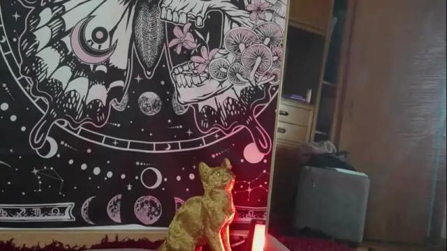 Image 2 of ari_kat666 Stream on Chaturbate on 5 days ago