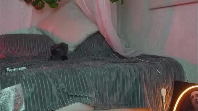 Image 8 of ari_kat666 Stream on Chaturbate on 22 days ago