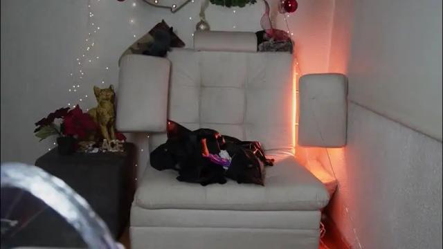 Thumbnail 1, ari_kat666's Stream at Chaturbate, 28 days ago