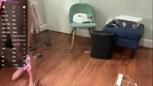 Image 12 of aria_fields_ Stream on Chaturbate on 2 months ago