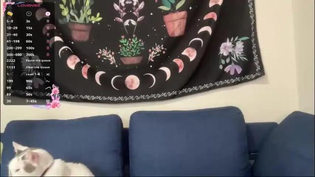 Thumbnail 2, aria_fields_'s Stream at Chaturbate, 1 month ago