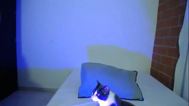 Image 12 of aria_jhonsson777 Stream on Chaturbate on 1 month ago