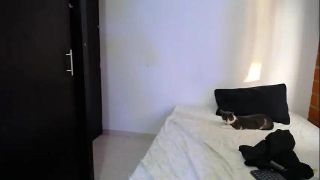 Image 11 of aria_jhonsson777 Stream on Chaturbate on 1 month ago
