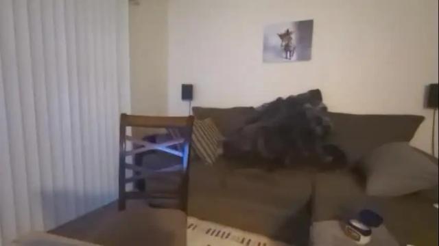 Image 7 of arianna_sinz Stream on Chaturbate on 1 month ago