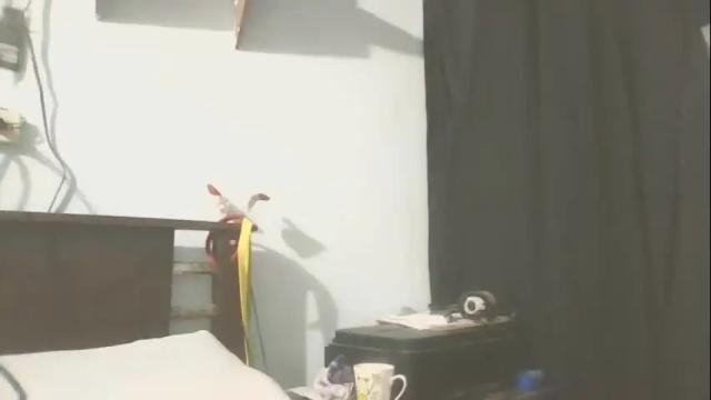 Image 3 of artemis951223 Stream on Chaturbate on 2 months ago
