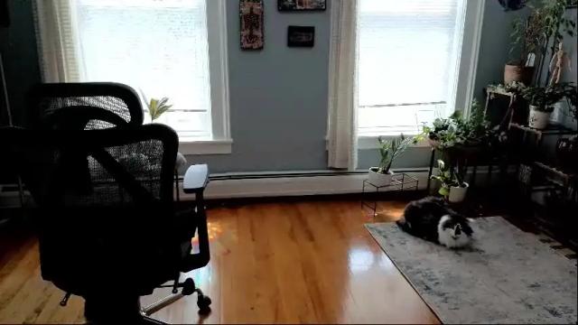 Thumbnail 3, artiepaints's Stream at Chaturbate, 16 days ago