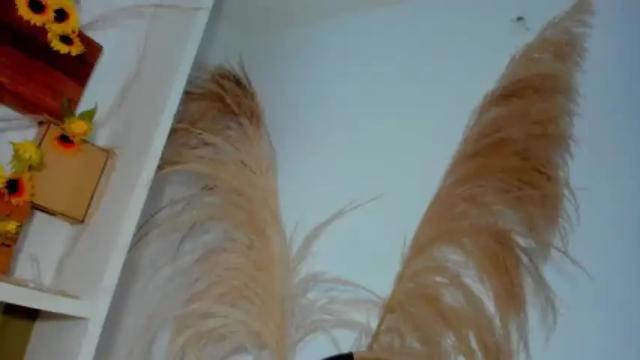 Image 11 of artofseduction__ Stream on Chaturbate on 18 months ago