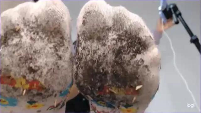 Image 7 of ash_nicefeet Stream on Chaturbate on 1 month ago