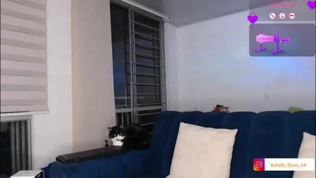 Image 2 of ashely_ryan24 Stream on Chaturbate on 14 days ago