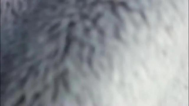 Thumbnail 3, ashelynngrey1986's Stream at Chaturbate, 9 days ago