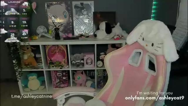 Image 10 of ashleycat9 Stream on Chaturbate on 1 month ago