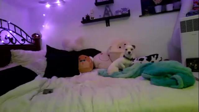 Image 6 of ashleysafreak Stream on Chaturbate on 23 months ago