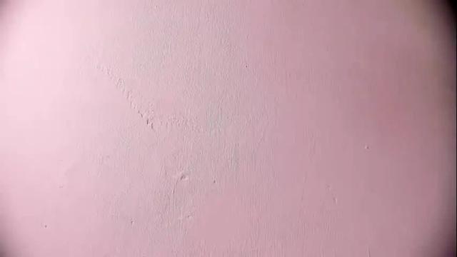 Image 3 of ashlybenison Stream on Chaturbate on 1 month ago