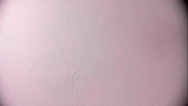 Image 4 of ashlybenison Stream on Chaturbate on 1 month ago