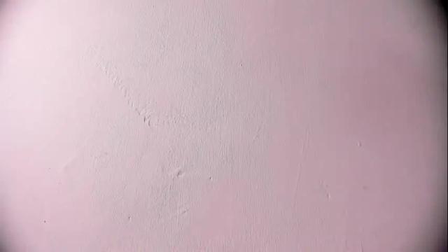 Image 7 of ashlybenison Stream on Chaturbate on 1 month ago