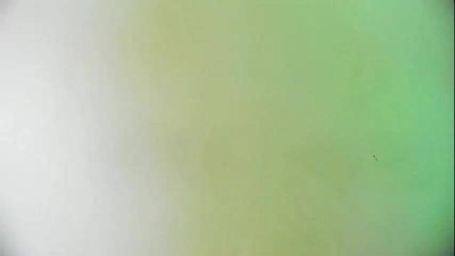 Image 11 of ashlybenison Stream on Chaturbate on 24 days ago