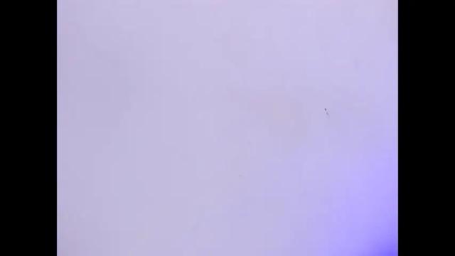 Image 12 of ashlybenison Stream on Chaturbate on 1 month ago