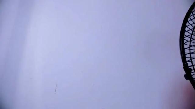 Image 8 of ashlybenison Stream on Chaturbate on 25 days ago