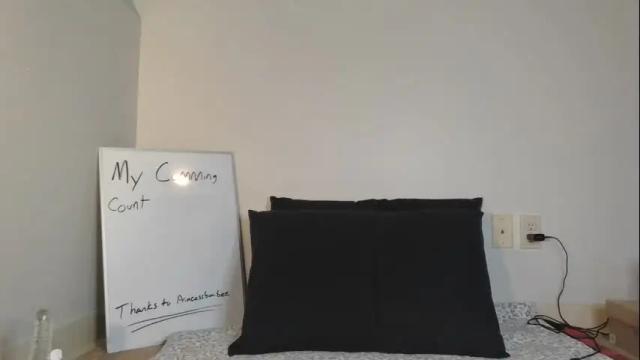 Image 8 of ashquartz Stream on Chaturbate on 1 month ago