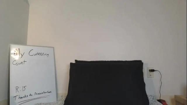 Image 12 of ashquartz Stream on Chaturbate on 1 month ago