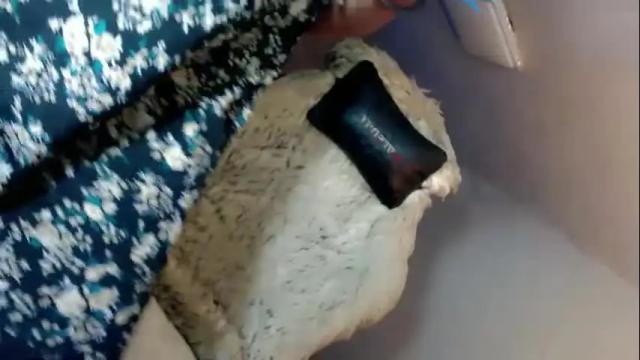 Image 3 of asian_loloera Stream on Chaturbate on 19 days ago