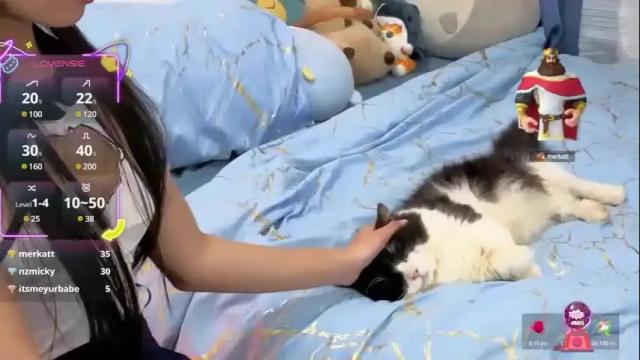 Image 6 of asianbabecandy Stream on Chaturbate on 1 month ago