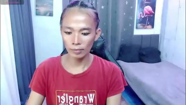 Thumbnail 1, asianhoney_babe30's Stream at Chaturbate, 3 months ago