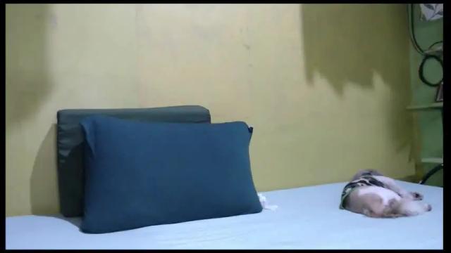 Image 6 of asianmhay24 Stream on Chaturbate on 2 months ago