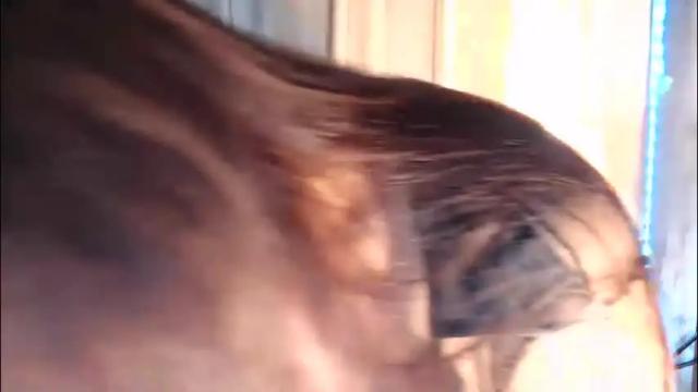 Image 7 of asiasfantasy Stream on Chaturbate on 2 months ago