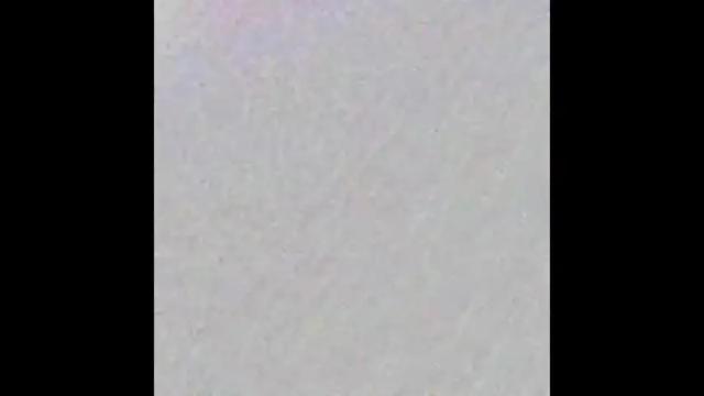 Image 3 of assiancougar Stream on Chaturbate on 1 month ago