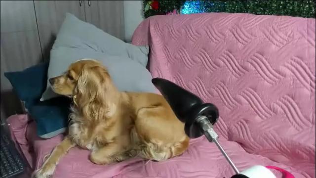 Image 4 of atalaya_sexy Stream on Chaturbate on 2 months ago