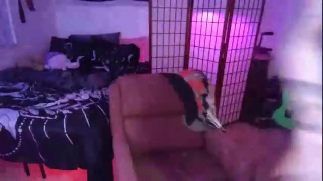 Image 7 of athenalavender Stream on Chaturbate on 6 months ago