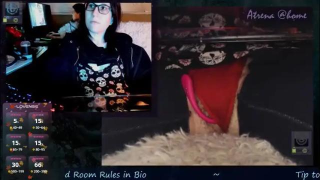 Image 10 of atrena Stream on Chaturbate on 1 month ago