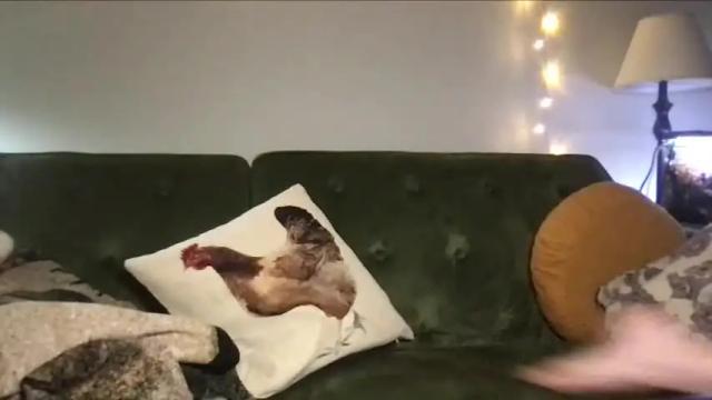 Image 3 of attentionhungry Stream on Chaturbate on 20 months ago