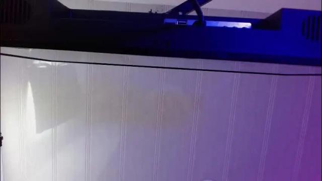 Thumbnail 1, aurora_blossom__'s Stream at Chaturbate, 5 months ago