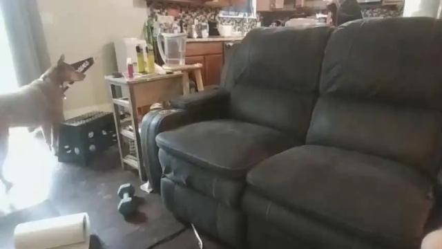 Image 4 of average_couple23 Stream on Chaturbate on 15 months ago