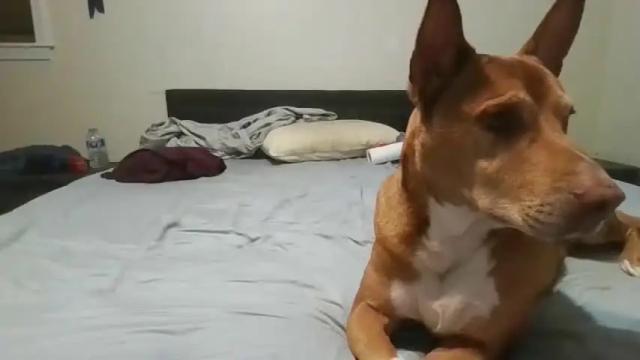 Image 4 of average_couple23 Stream on Chaturbate on 12 months ago