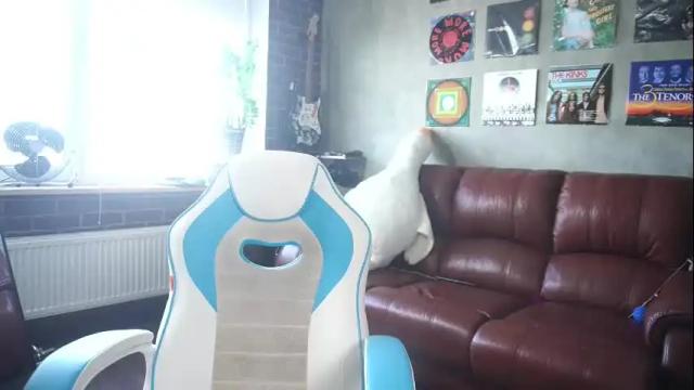 Image 12 of awondrr Stream on Chaturbate on 1 month ago